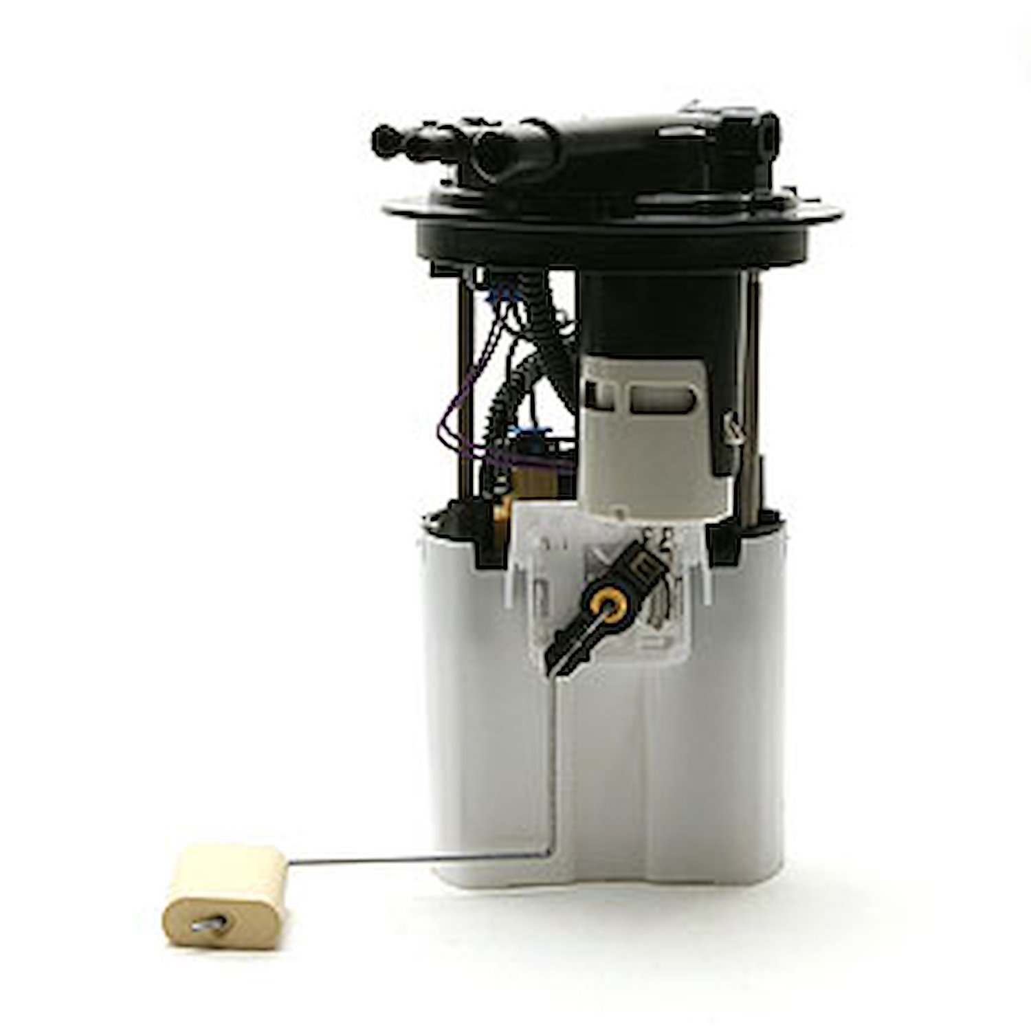 Fuel Pump Module Assembly