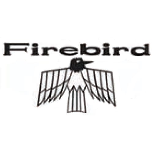 Vinyl Floor Mats 1967-69 Firebird
