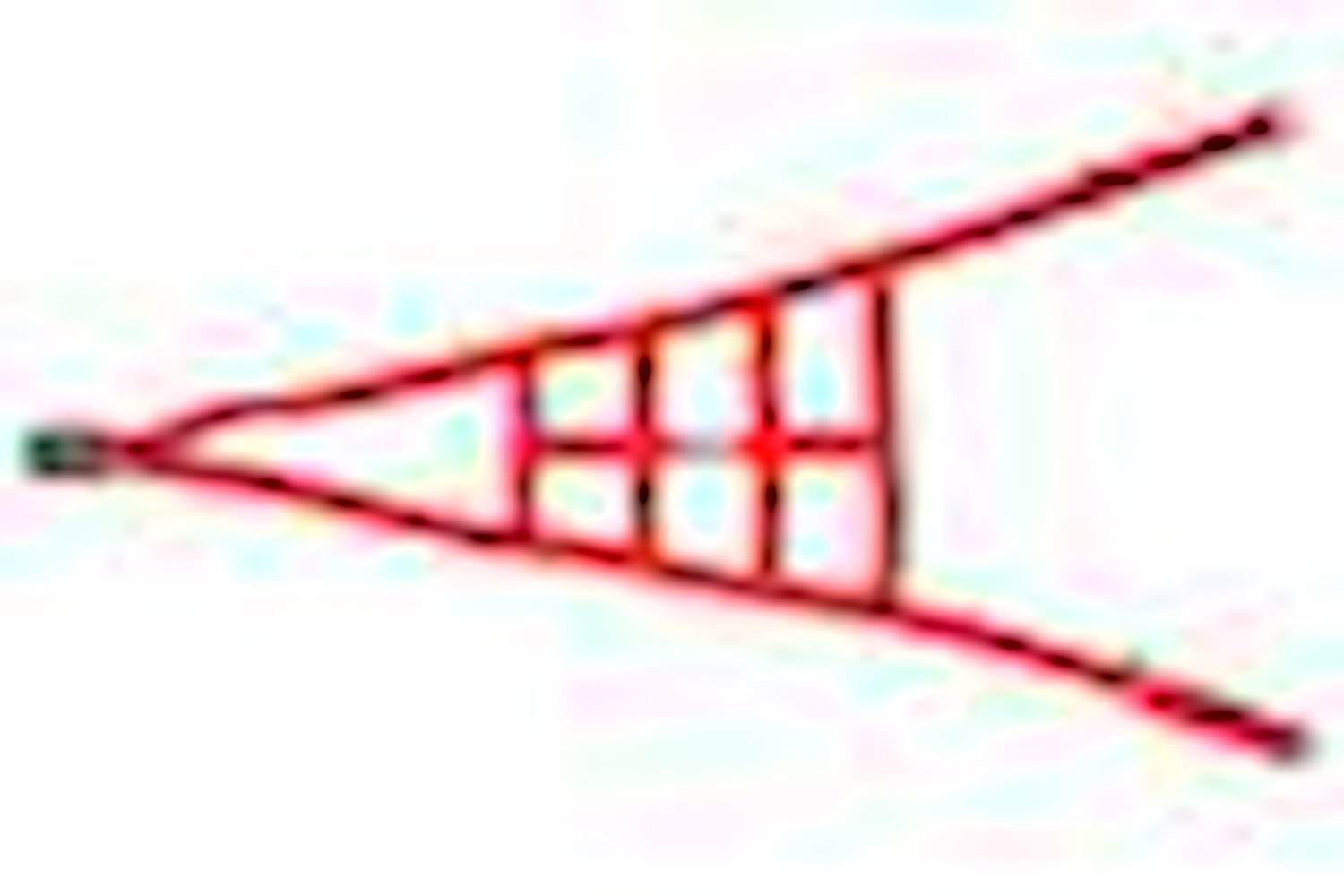 Ribbon ROLL CAGE Net 2 Point NON-SFI RED