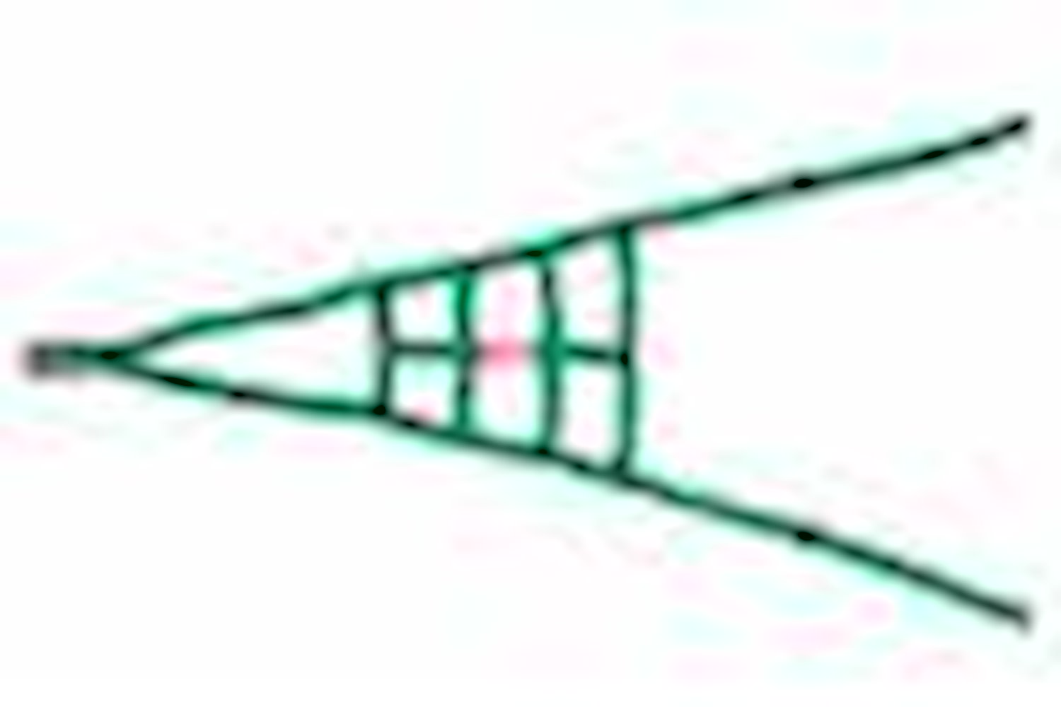 Ribbon ROLL CAGE Net 2 Point NON-SFI GREEN