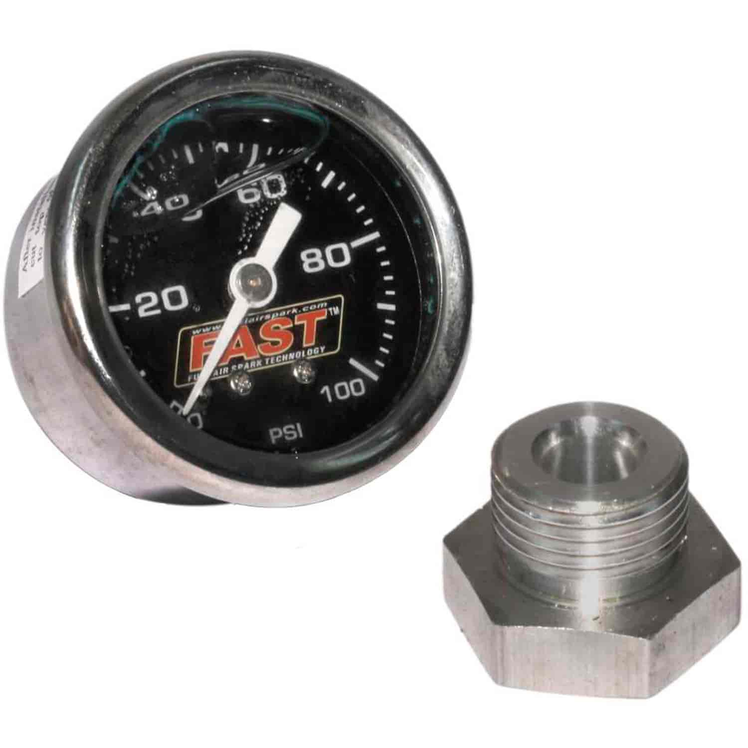 Fuel Pressure Gauge Kit 100 psi