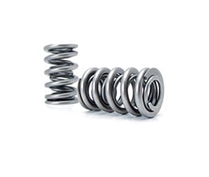 Dual Valve Springs Outer Spring O.D.: 1.320 in.