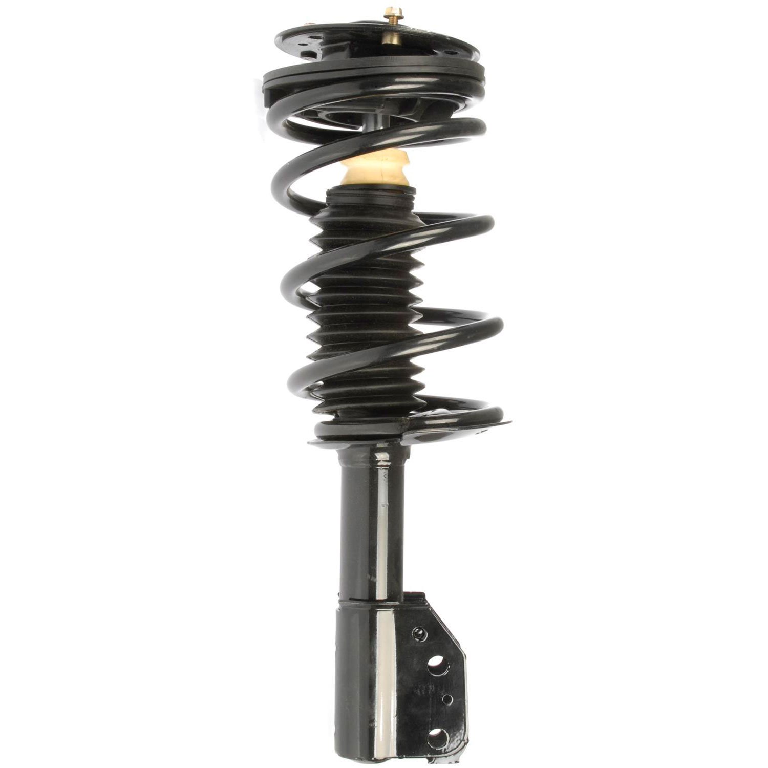 Strut Assembly Includes Coil Spring