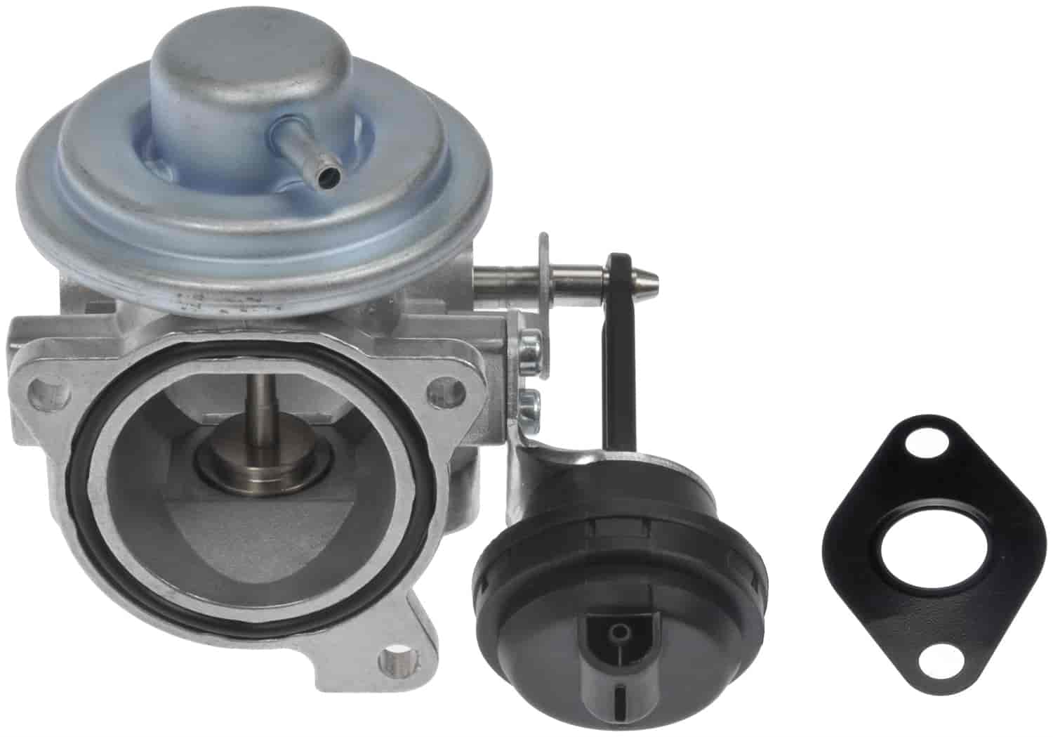 Exhaust Gas Recirculation Valve And Gaskets