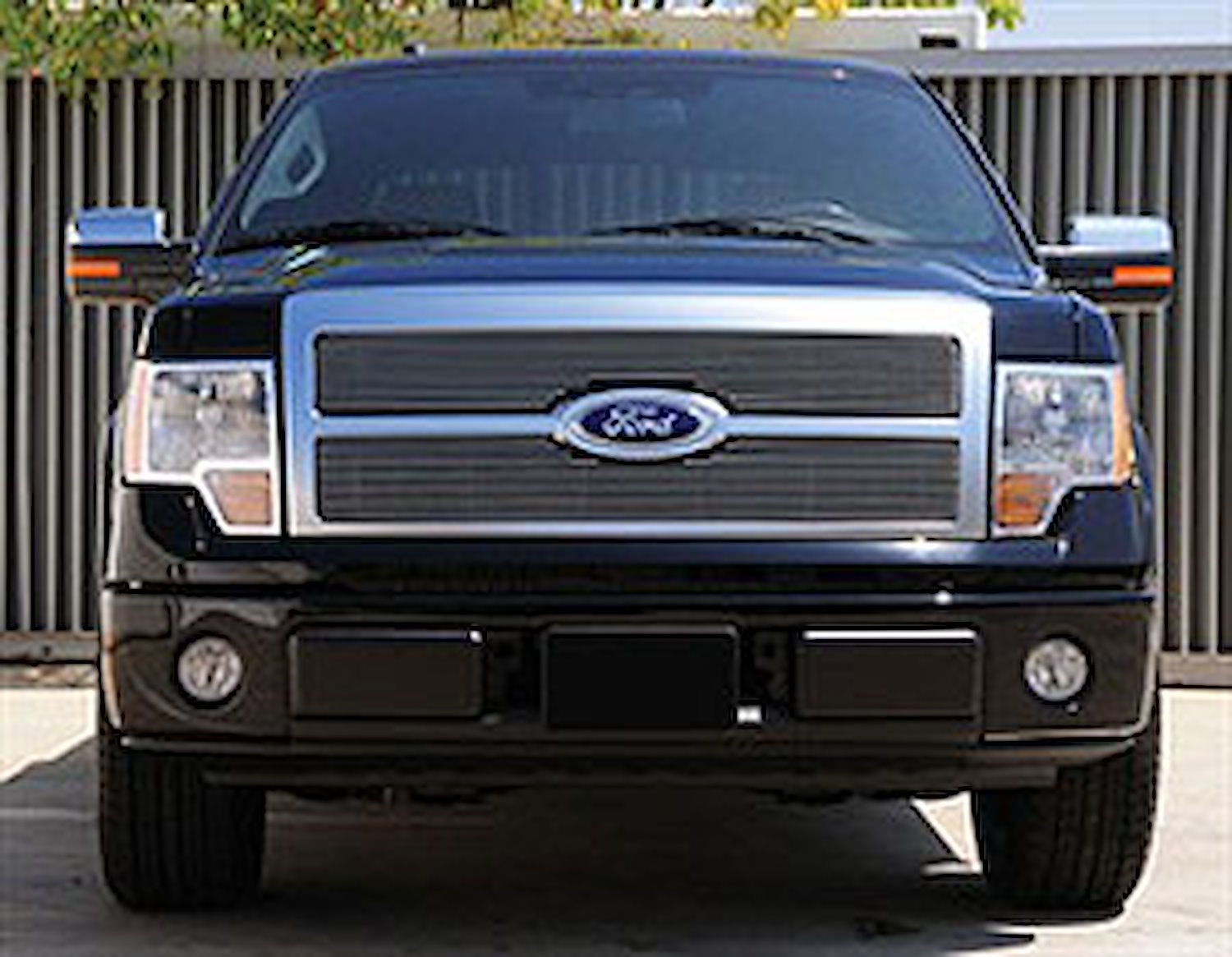 Billet Grille Insert 2009-12 Ford F-150 Platinum