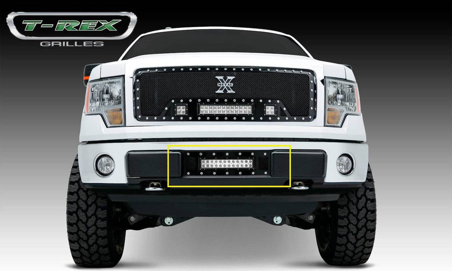 Torch Bumper Grille 2009-2012 Ford F-150