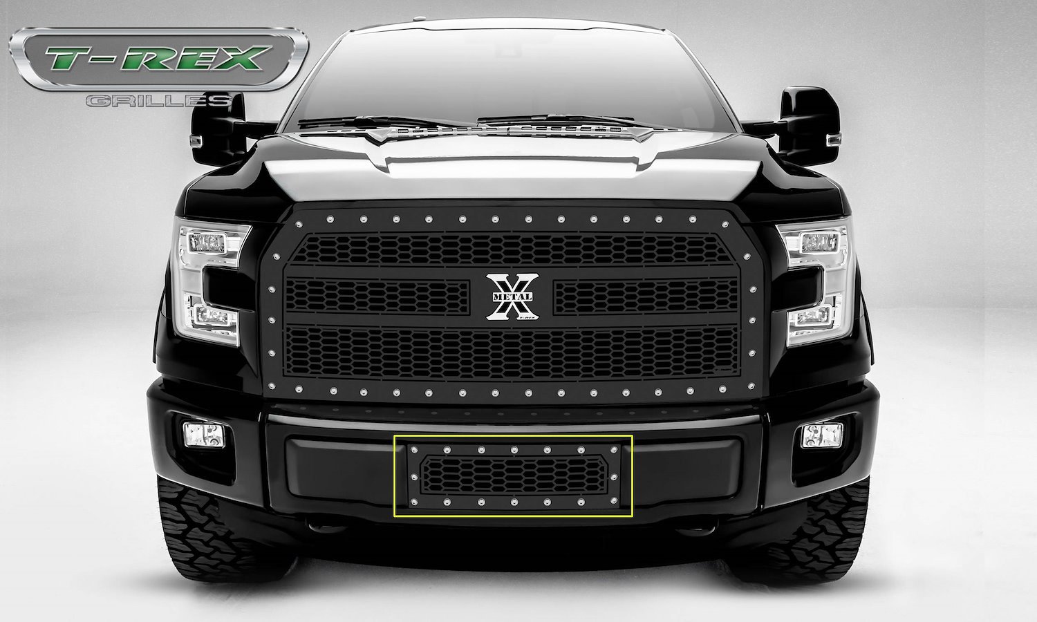 LASER X GRILLE FORD F-150