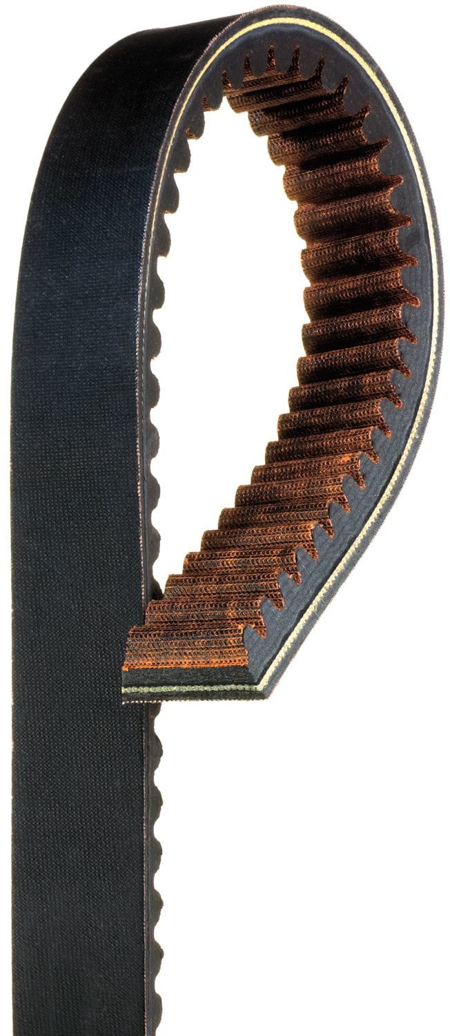 Recreational Belts - G-Force