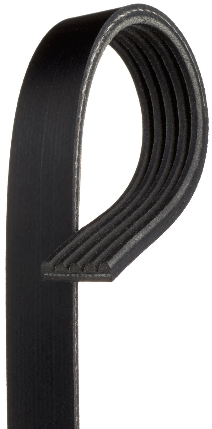 Century Series Stretch Fit Belts