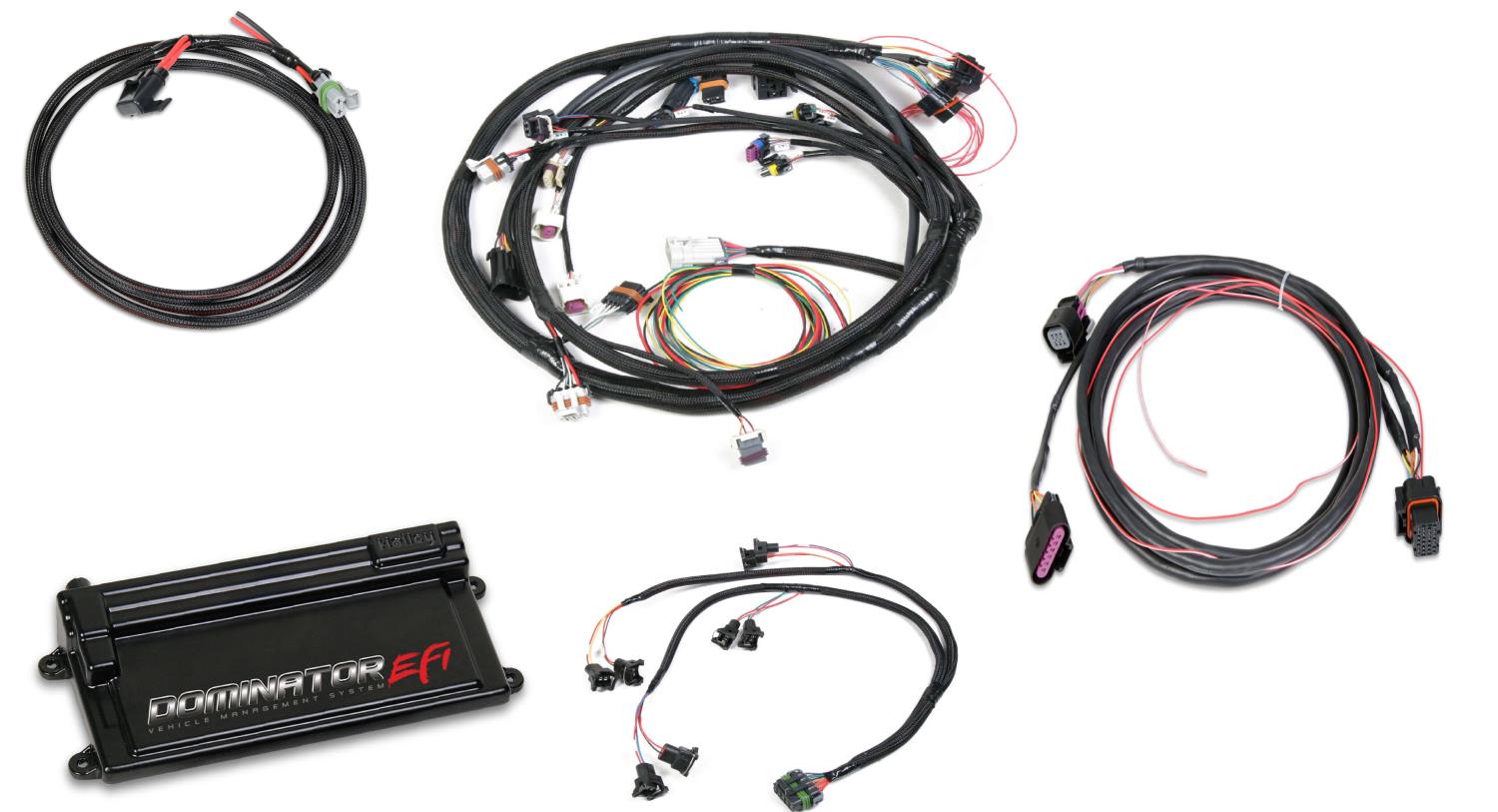 Dominator EFI ECU with GM LS2 Main Harness w/Drive-By-Wire and EV1 Injector Harness