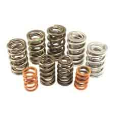 Standard Dual Valve Spring Set 1.430 in. OD