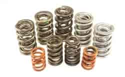 Valve Spring Set Datsun 4 Cylinder SOHC L-16/L-18/L-20 Engine 1.6L/1.8L/2.0L