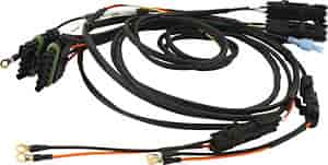 Dual Dirt Wiring Harness Universal Weather Packed Harness
