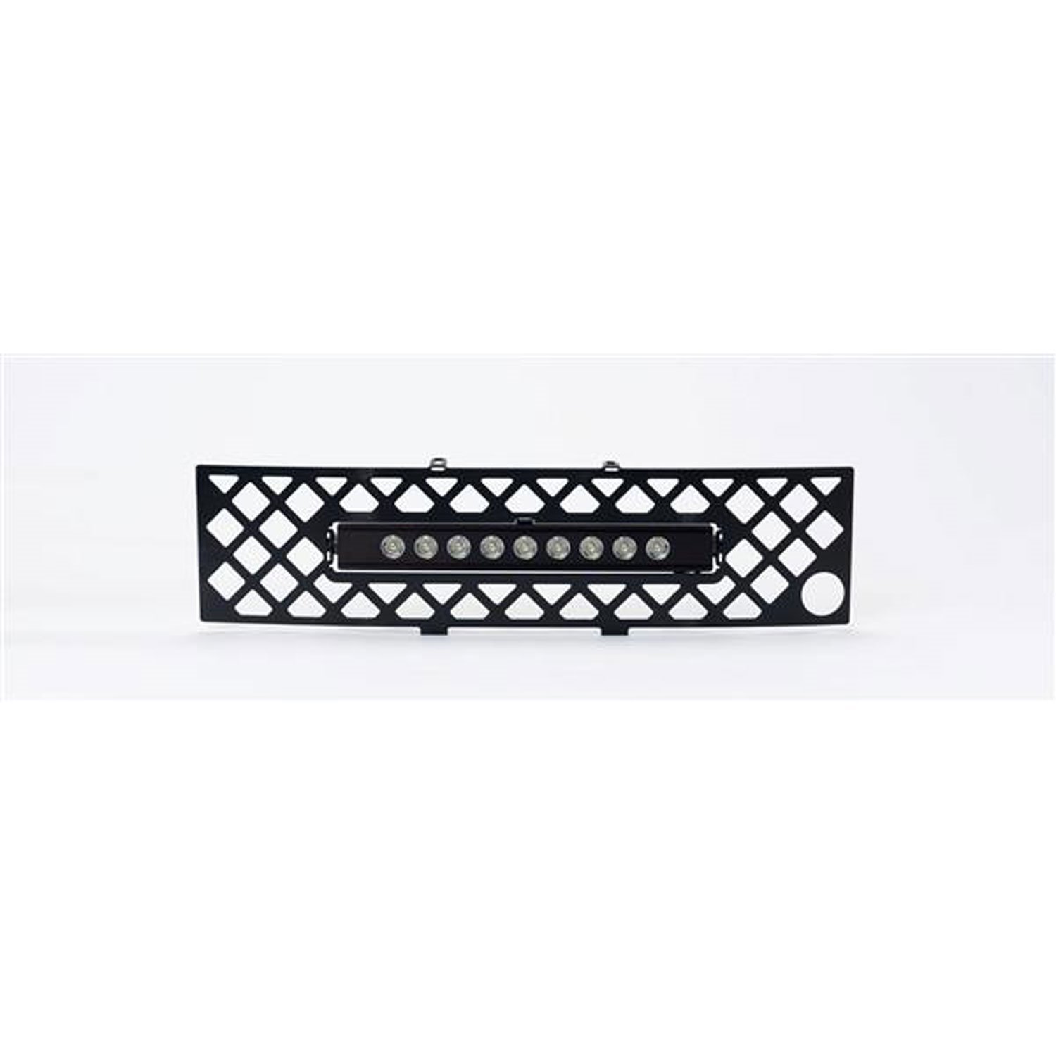 Bumper Grille Insert 2011-14 Ford F150 Ecoboost