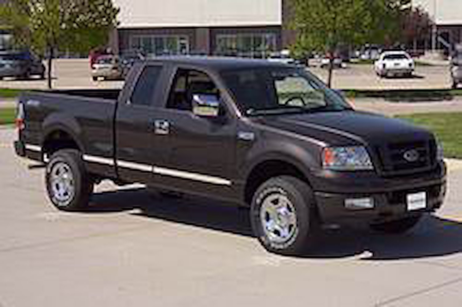 Body Side Molding Ford F150