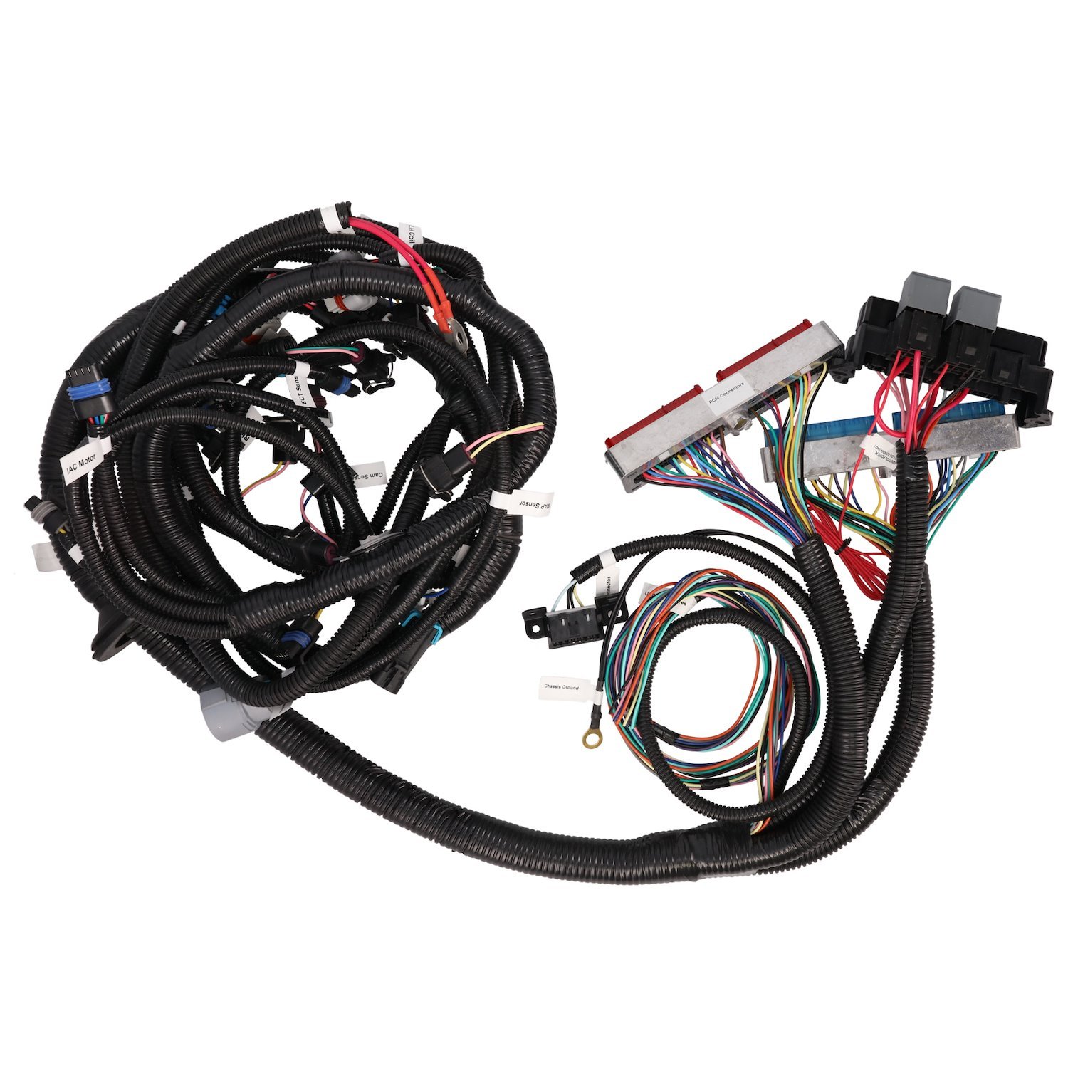 WH1201 Standalone Wiring Harness, LS1 Drive by Cable w/ T4L60E Auto