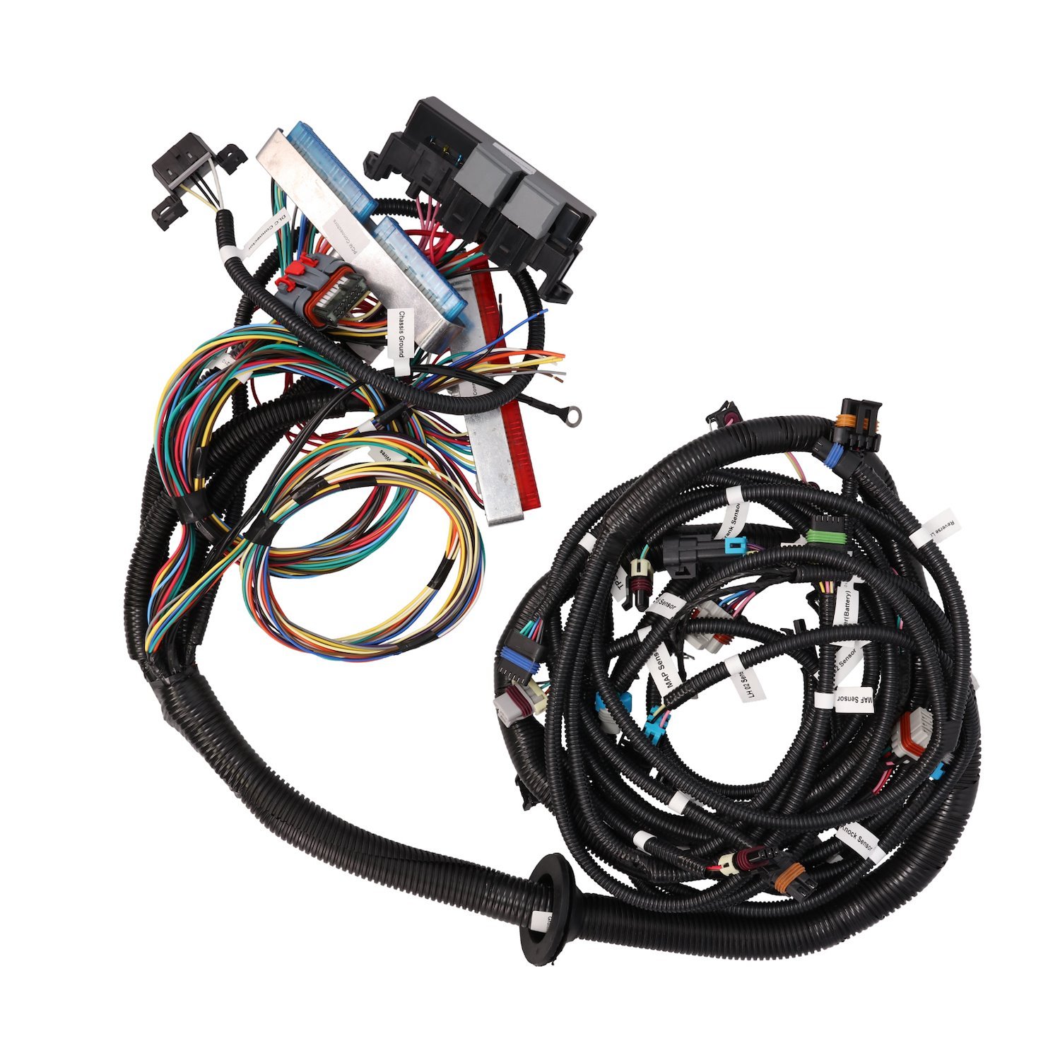 WH1210 Standalone Wiring Harness, LS1 Drive by Wire w/ T56 Manual