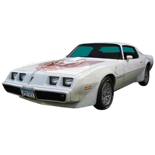 Complete Trans Am Decal Kit for 1981 Pontiac