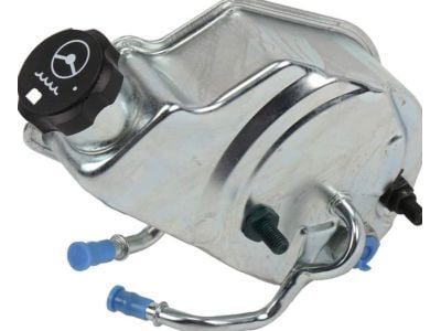 Power Steering Pump Assembly 2007-2019 GM LS 4.8/5.3/6.0L