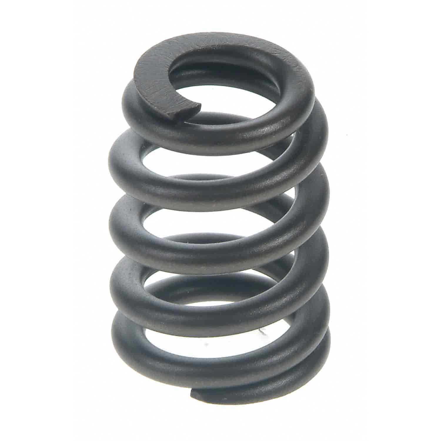 Valve Spring