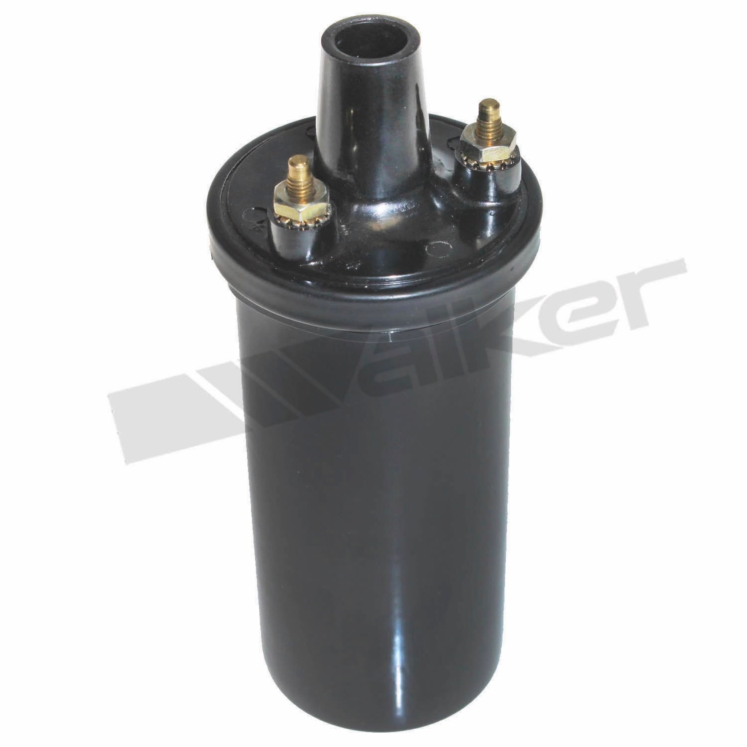 Ignition Coil Canister