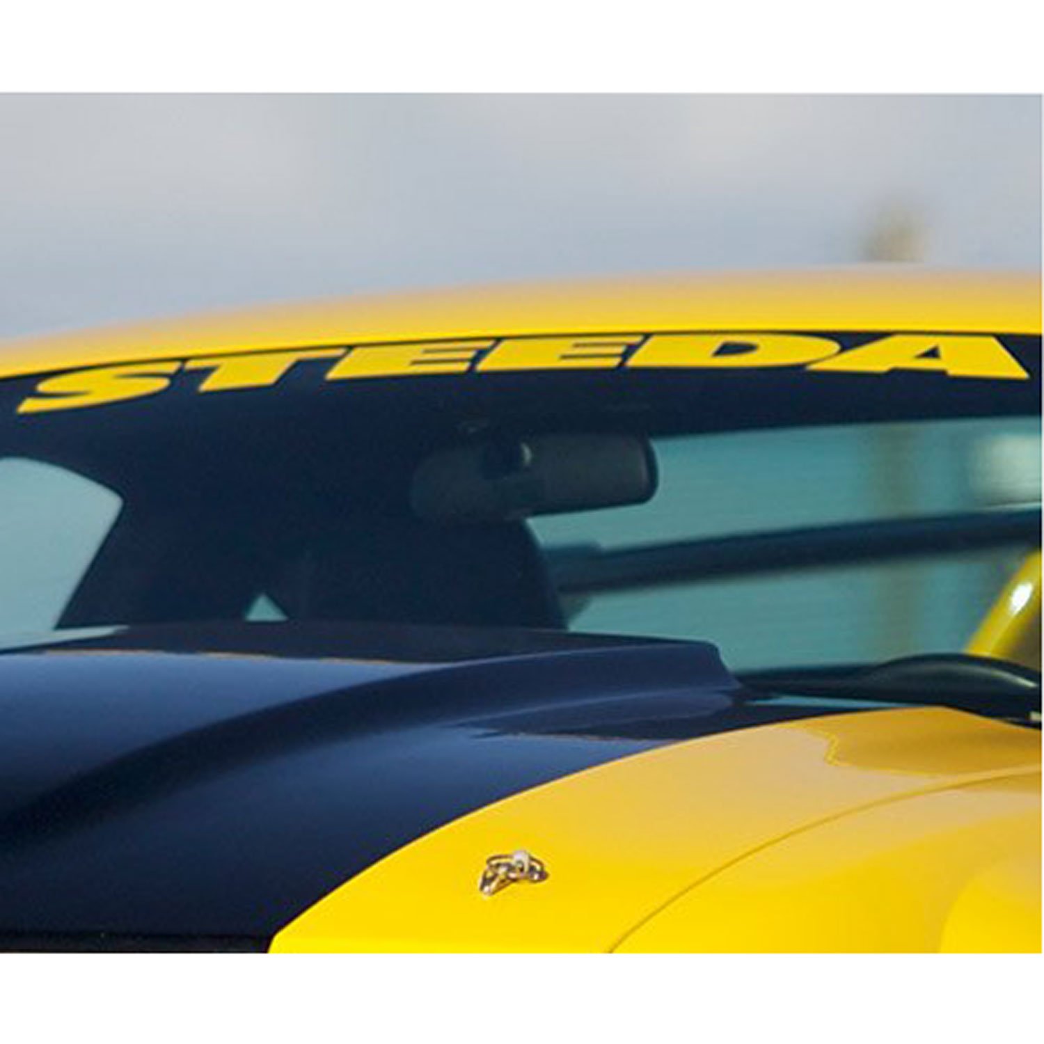 Windshield Decal Yellow