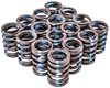 VALVE SPRINGS